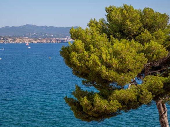 Crociera a La Seyne sur Mer